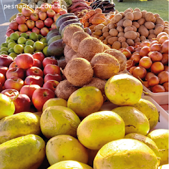 Feira de Orgânicos Santa Bárbara