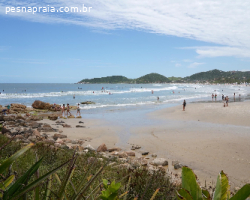Praia do Rosa em SC: guia completo com dicas