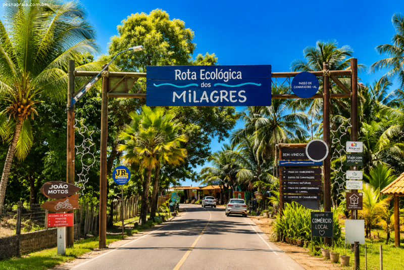 Passo de Camaragibe: O Destino Ideal na Rota Ecológica dos Milagres em Alagoas