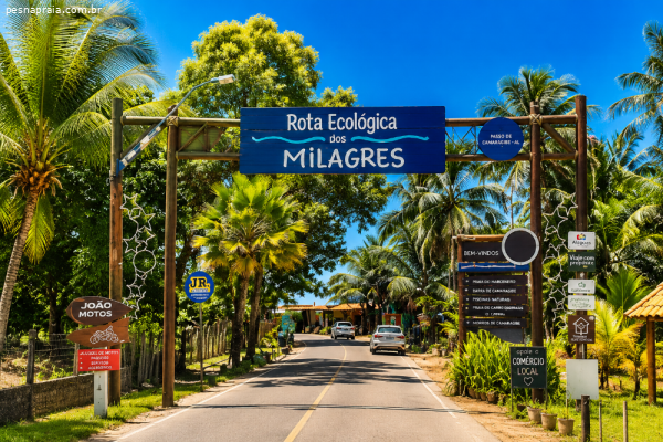 Passo de Camaragibe: O Destino Ideal na Rota Ecológica dos Milagres em Alagoas