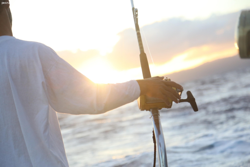 Pesca de Inverno em Florianópolis: Como Escolher o Melhor Dia para Sair ao Mar
