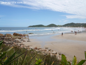 Praia do Rosa em SC: guia completo com dicas