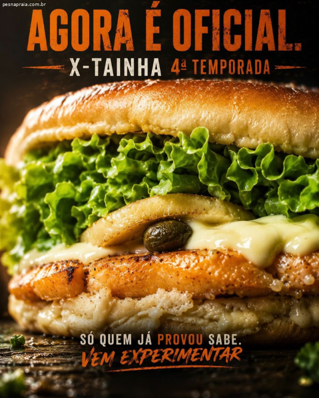 The Gringo | Famoso X-Tainha, Hambúrgueres e Lanches em Florianópolis